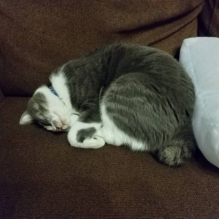 773d0b1e 8a8d 49ac 947a 85d534cd81cf 1612880037950