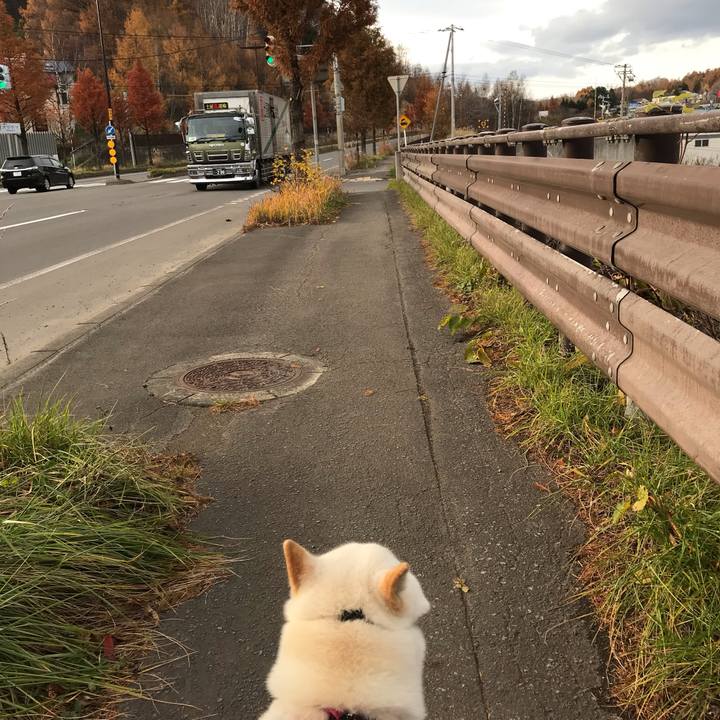 773d210b 6035 4e75 9a66 1dec9e988b4a 1542367908796