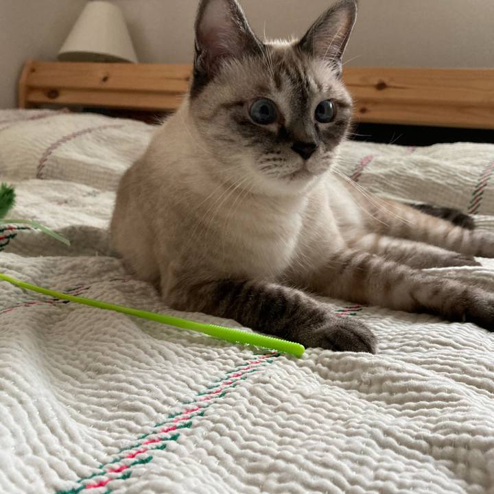 773d5af7 2b69 4f8b bef2 16c19fc65bd6 1725264852769