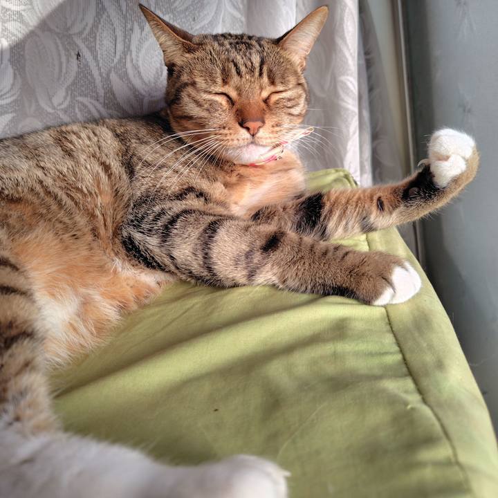 773d61da 371e 40f0 95da 36893cf42ab5 1763946127934