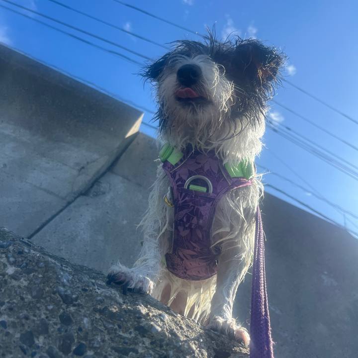 773deb0c 0f2f 4e7d 928d 3e0ceb7cd68c 1759813882141