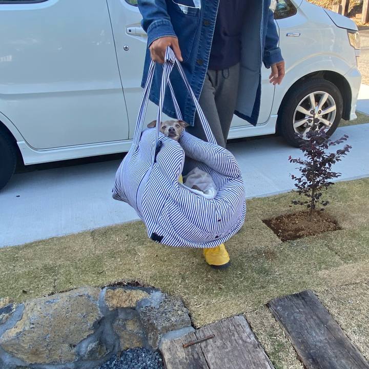 773e08a1 2fa1 4e6d a36b 2e20f8715d6c 1763180119908