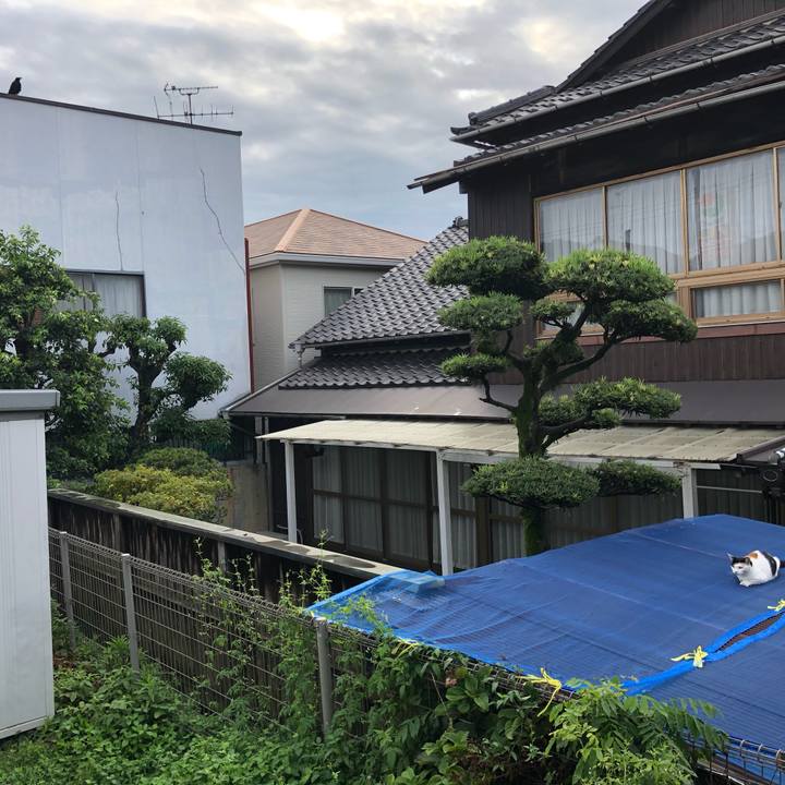 773e8d84 db3f 43b2 b0f1 060c74b8b5c5 1599777140897