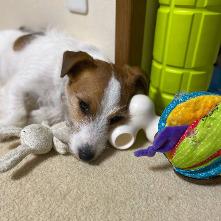 773eda31 296f 4002 a444 a6dddcaf867a 1712668237474