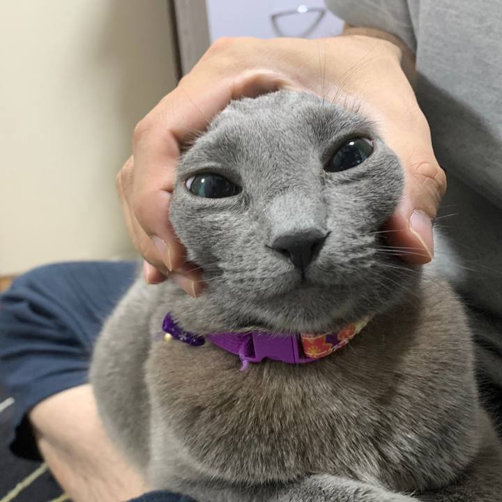 773ee184 c4d6 4a25 b13c 7b2cd0dac850 1657196091707