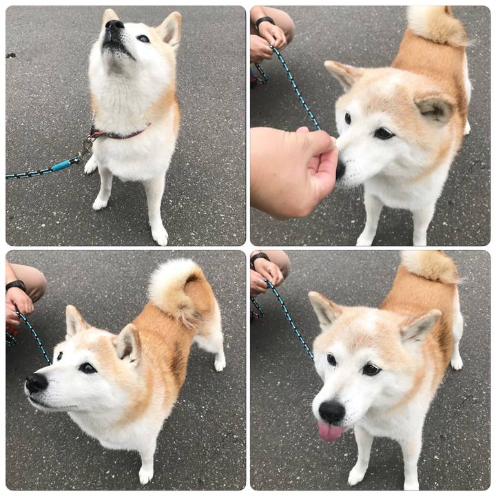 773ee93f 107d 4b0b b722 f483f0d12246 1525339035302