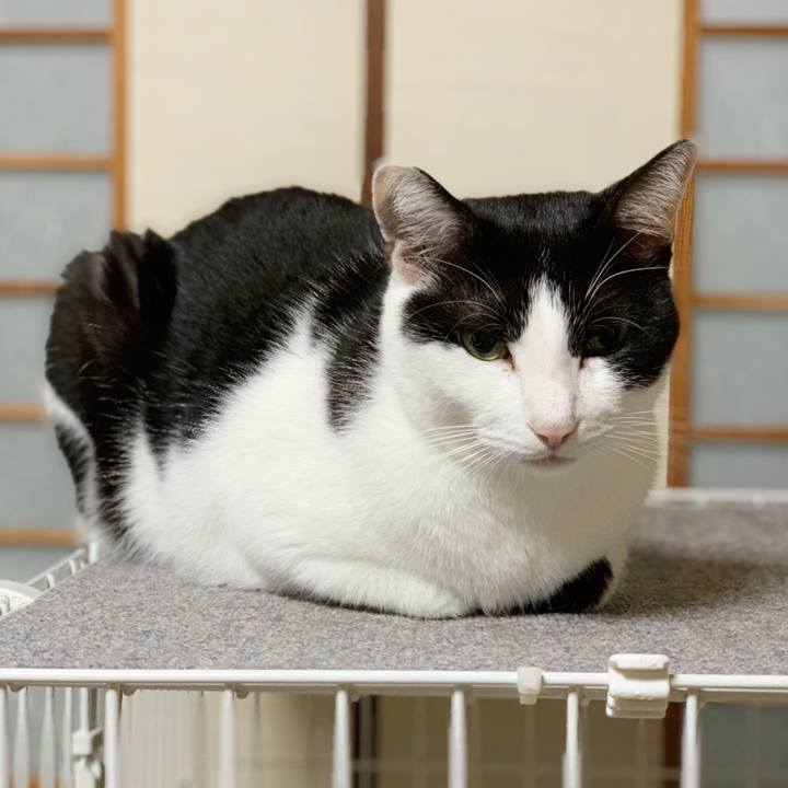 773ee999 a431 4fcb 831d 38b709ea2235 1543719961376