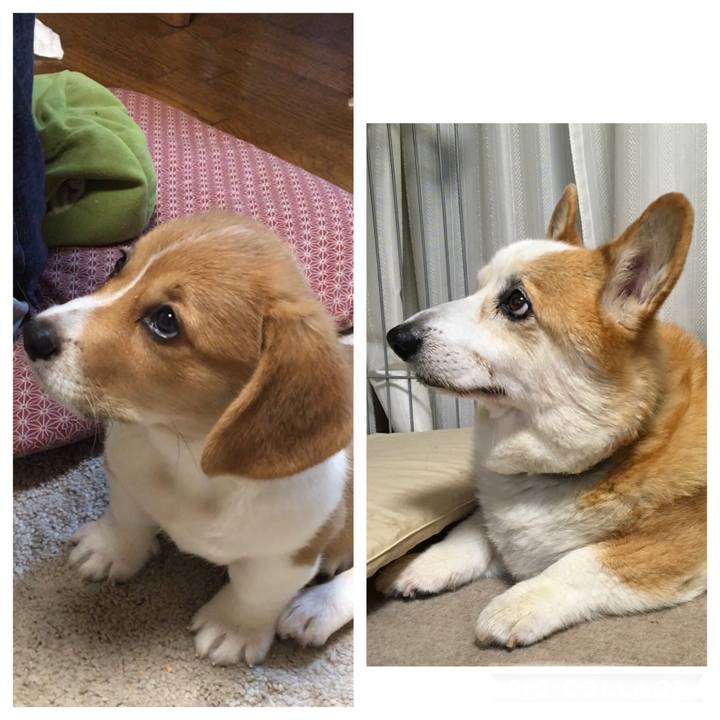 773eec3e 40a1 4699 83b5 a3260091d4c2 1590371547600