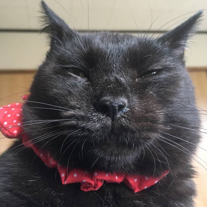 773f24ce d255 4c57 b9f3 b711956e5f98 1537598118169