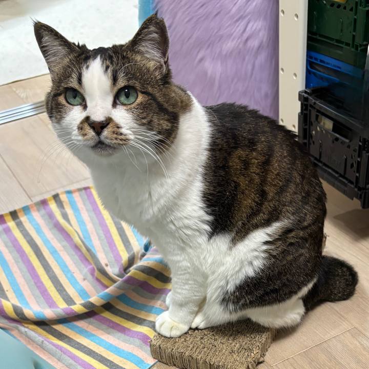 773f7a35 312b 4be4 9e8d 92633f427f1a 1767181235918