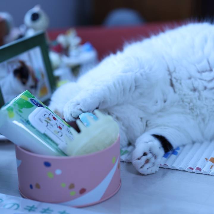 773f8c9e a963 4f71 985f d2a96d86bf5b 1687578505020