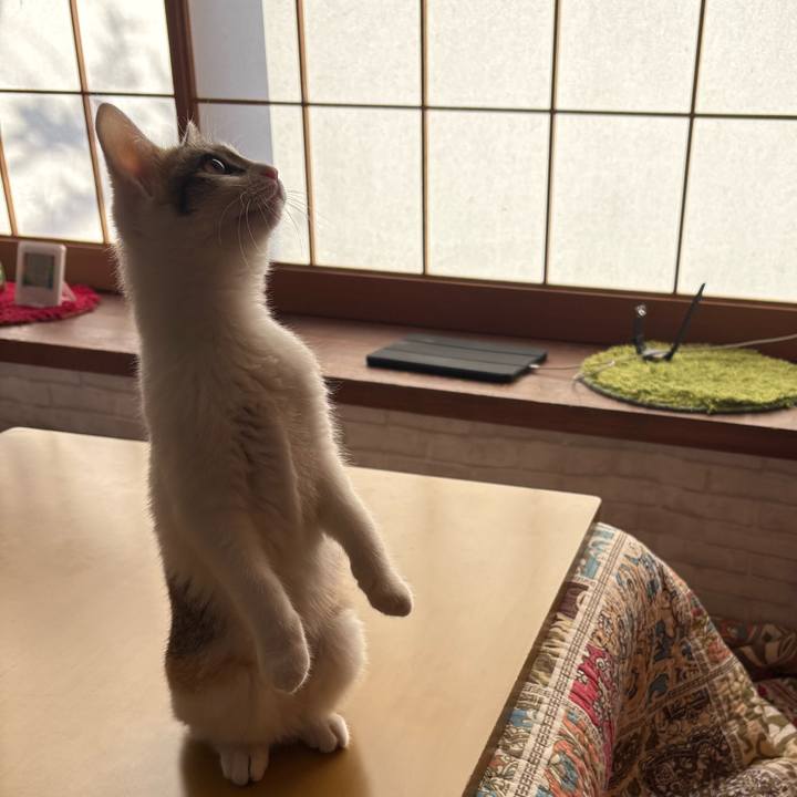 773f962e a9a6 4b3b 8612 26e0629009ff 1766447224549