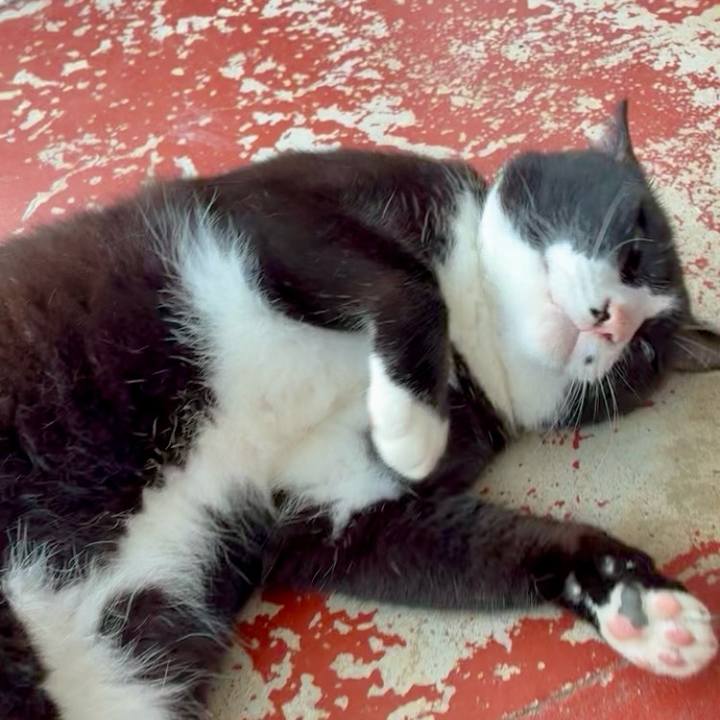 773faf59 4cf4 4569 bbe6 3cd8736e2822 1750490696410