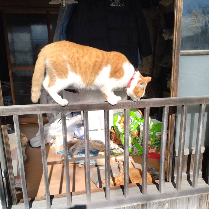 773fbcf9 fbc5 4990 a15b 308f114d3ea2 1763193358829