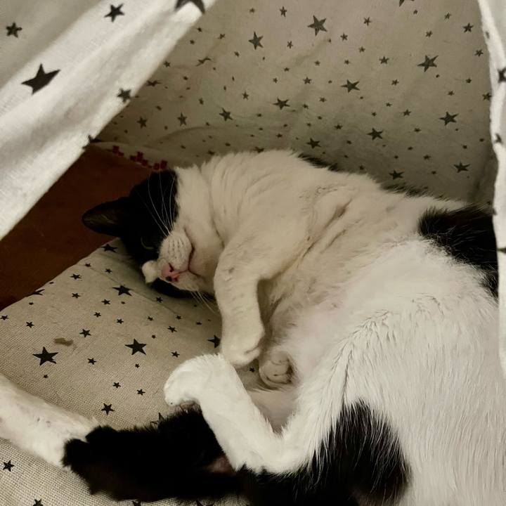 773fd9be 43cc 4e2b 80f0 54a1d8086719 1641817797736