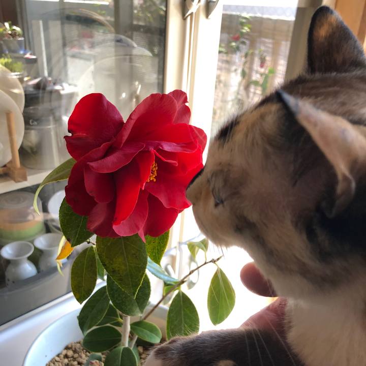 77401def 68d8 4834 bf9d 4a11b500e8ae 1774285894584