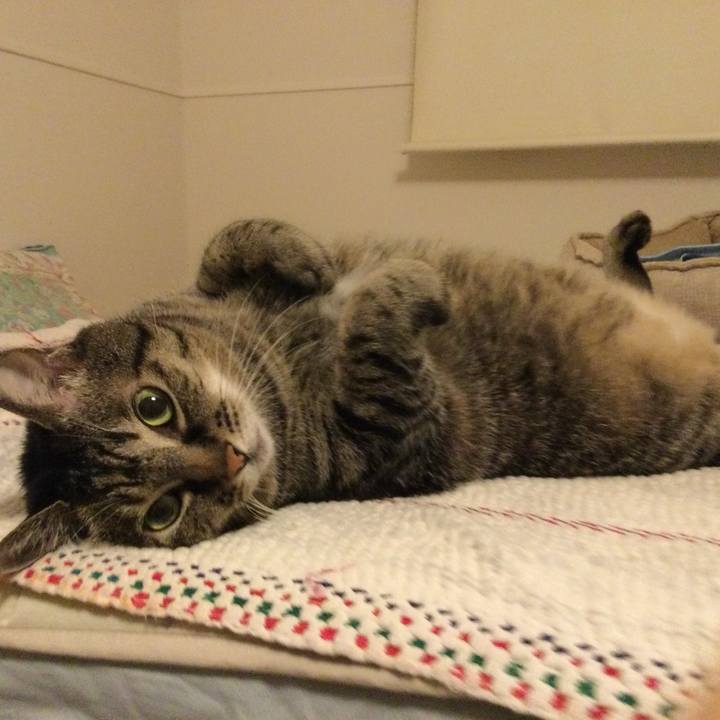 77403e7a 5d1d 48d9 9840 bcd73c078496 1757822923113