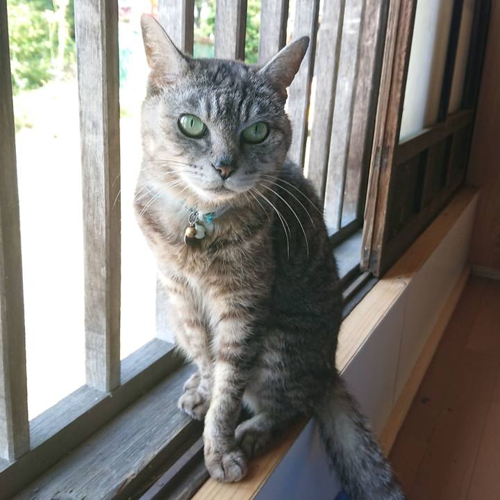 77404667 666b 423c baa7 037272e7e1ad 1561502394614