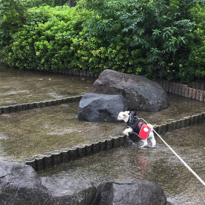 7740540d e485 4f84 86f8 eddb26e2cceb 1538207198260