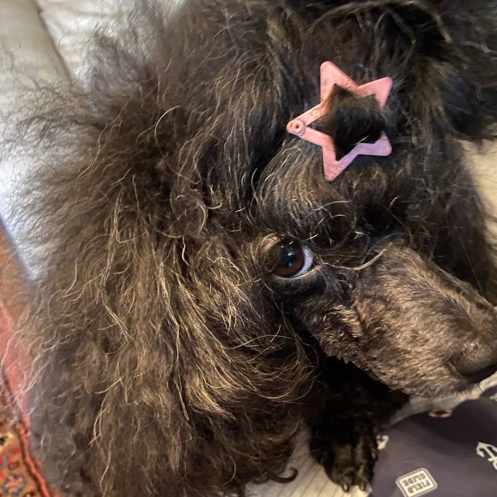 77405505 f63b 409e b7a6 8e782ecdd95c 1661214751759