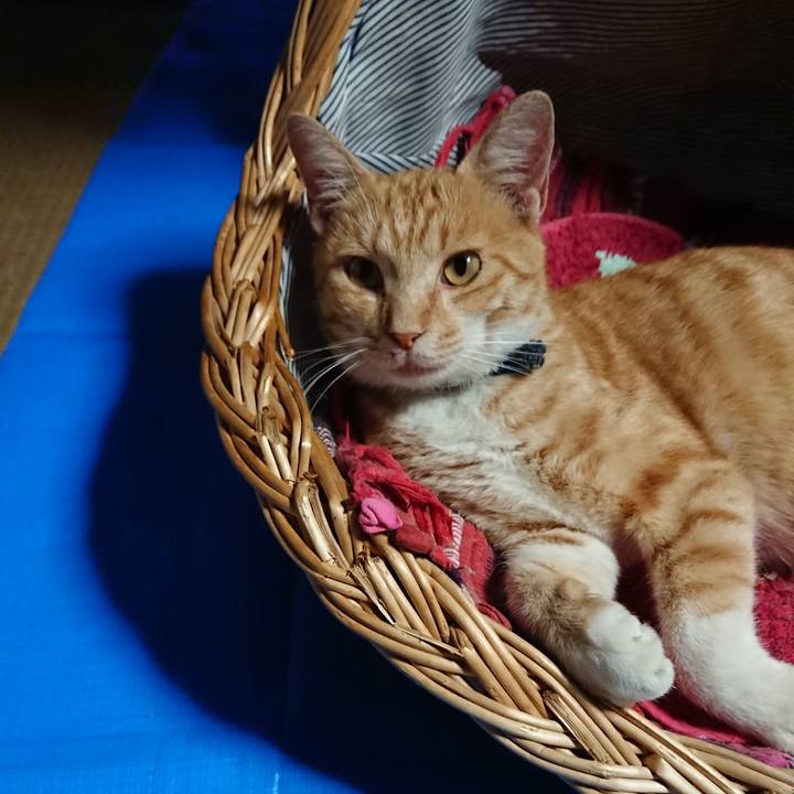 774059d8 7391 408b 80b5 d1b1ef3cd3aa 1563440445831