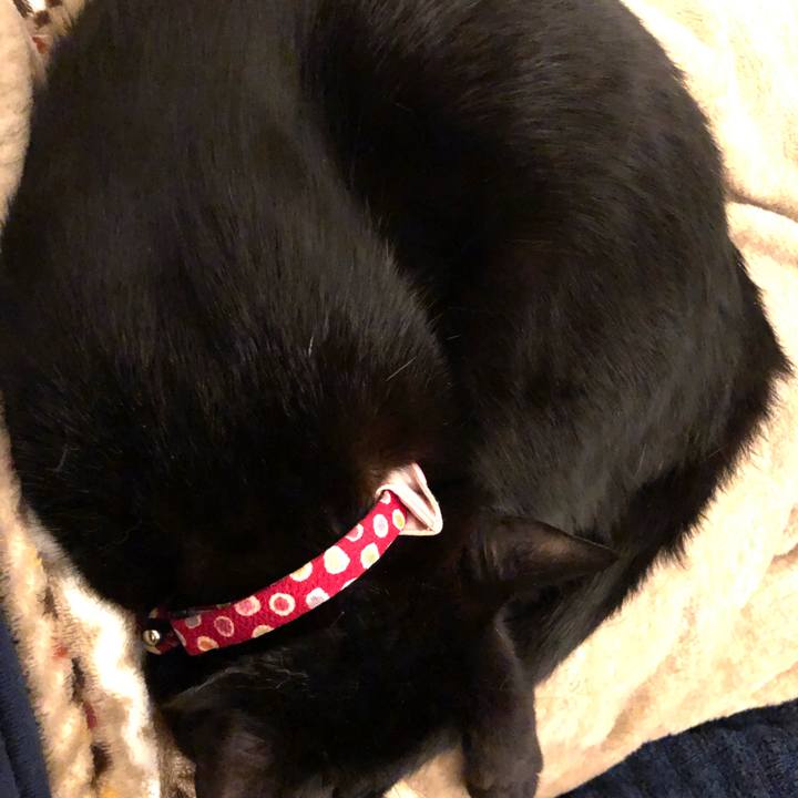 77405d16 ac60 4d47 8acd f310fc01561d 1615723112069