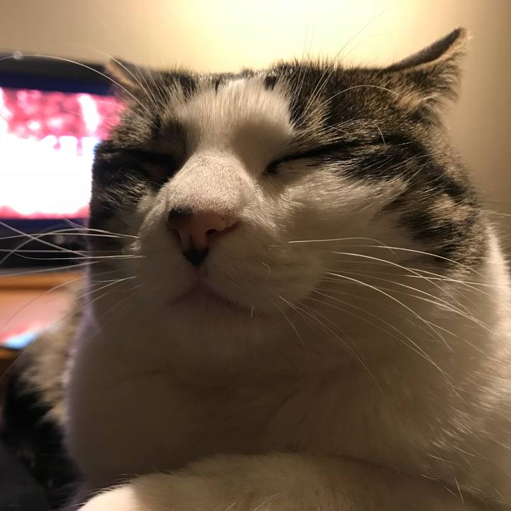 7740862f 4729 44db b730 01a7f1c0135d 1554986181786