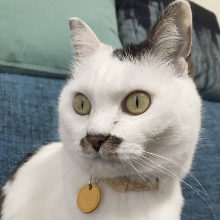 774098b6 4d09 48d1 b398 b3a08355c532 1557032182694