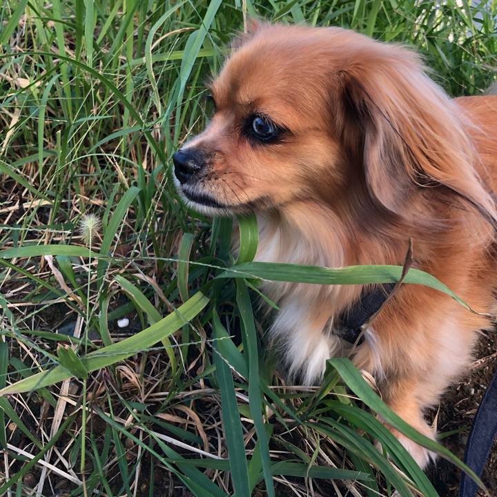 77410b8e 9728 44f1 a1bf ff20dd273c70 1570922620401