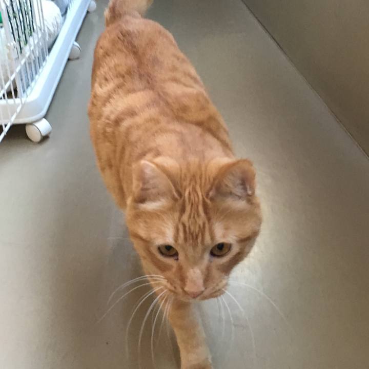 7741111c 5a2a 41ef a637 c6896824ad93 1545389686121