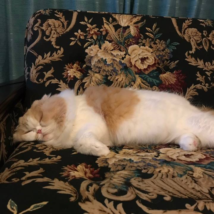 77411e0a 9c6f 43a3 8f1c 8494cfd1bb6c 1574511275590