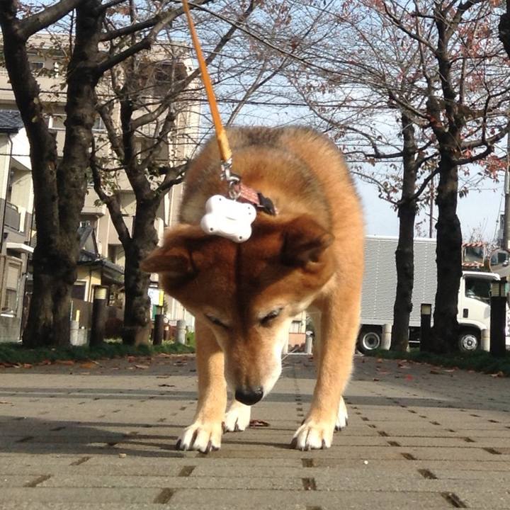 77413f59 debc 4dec bd6b 5d74f85ff9da 1510713232460