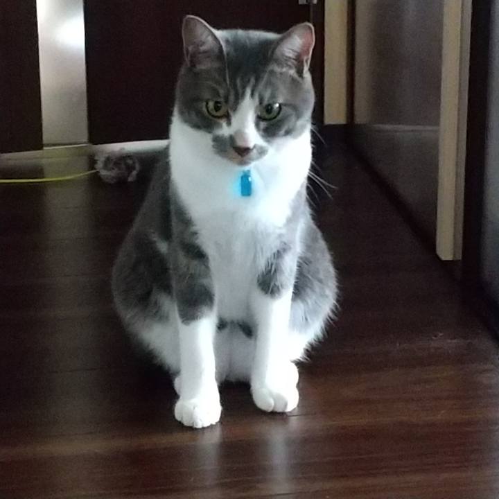 774156e3 82e3 4472 8cd0 fb7db43424f4 1598829799935