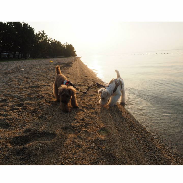 774160e0 8993 4e78 99d7 a279467637f4 1531721428129