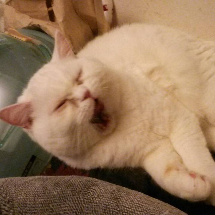 77418bad f2ba 41e2 8317 31bd05226c76 1554627623908