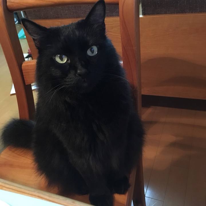 77419292 d686 4c8e 90cf 3c5b2bd77e6a 1562191402684