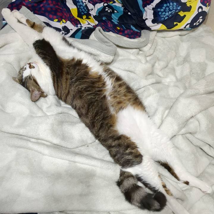 77419742 d340 4c58 af0b e1018c65cf9f 1671456191341