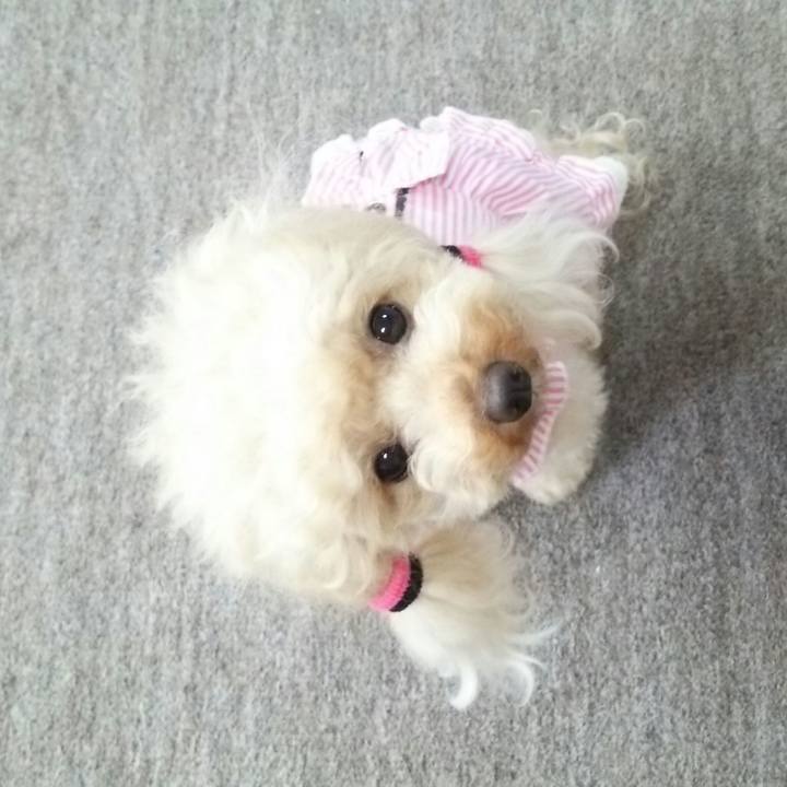 7741a481 5273 4562 b848 75d2485264bc 1529671944542