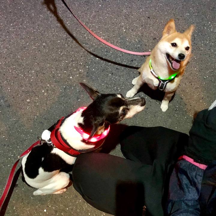 7741a491 c6a8 4d43 b2d1 87eba4d1d1a2 1559683704103