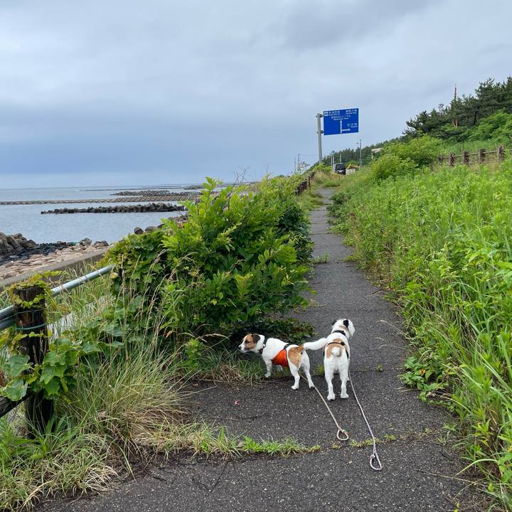 7741d49f 6631 4a15 b914 9f21f9c672ca 1687909759303