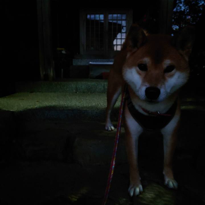 7741f7d0 88ad 40fc 8d2f 10b8a8bad364 1763587113489