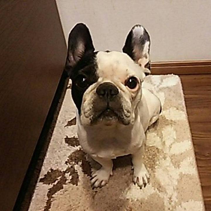 7742075d 4e43 421f 92b9 70fb6fb1424e 1539261247403