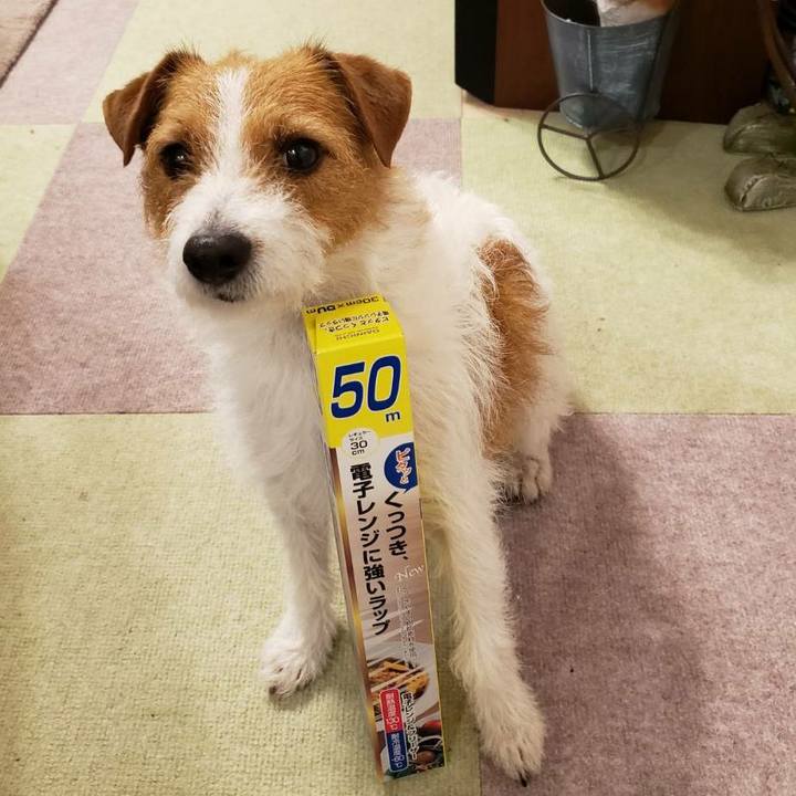 7742079d bcf7 490e 924e 264db732d704 1585140682484