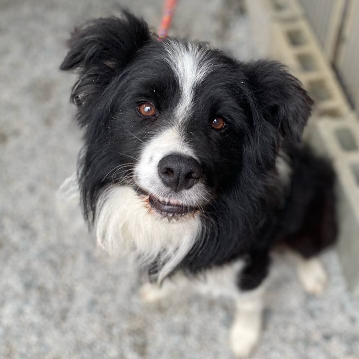 7742201c 2930 4d13 a047 0c9bc37cbe2b 1696399879075