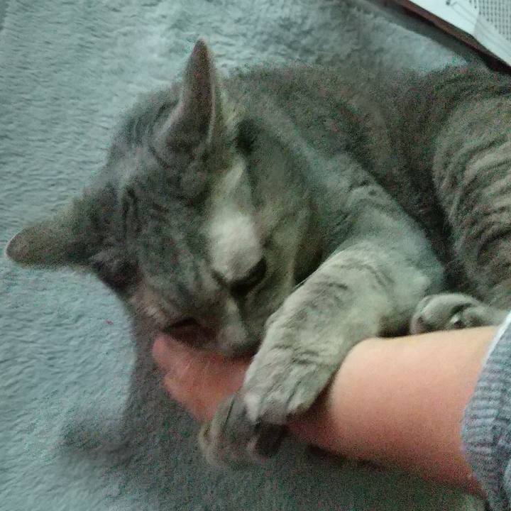 77422796 bd2d 43e3 bbe3 9d25a1f62b8b 1637014815796