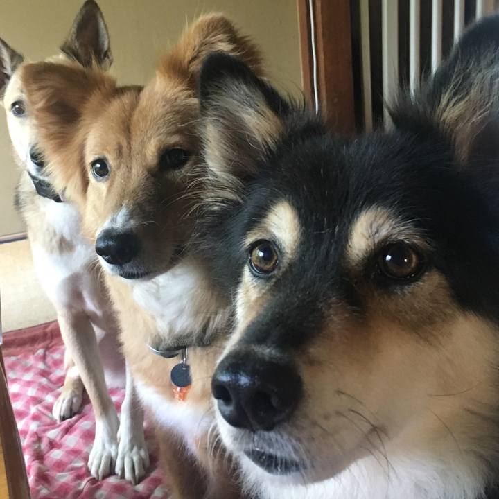 77425e70 1715 449e 9941 5adcdbfbd41a 1531733280437