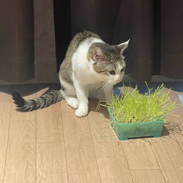 77426275 c352 4aac 8687 a6de868f8beb 1631048346063