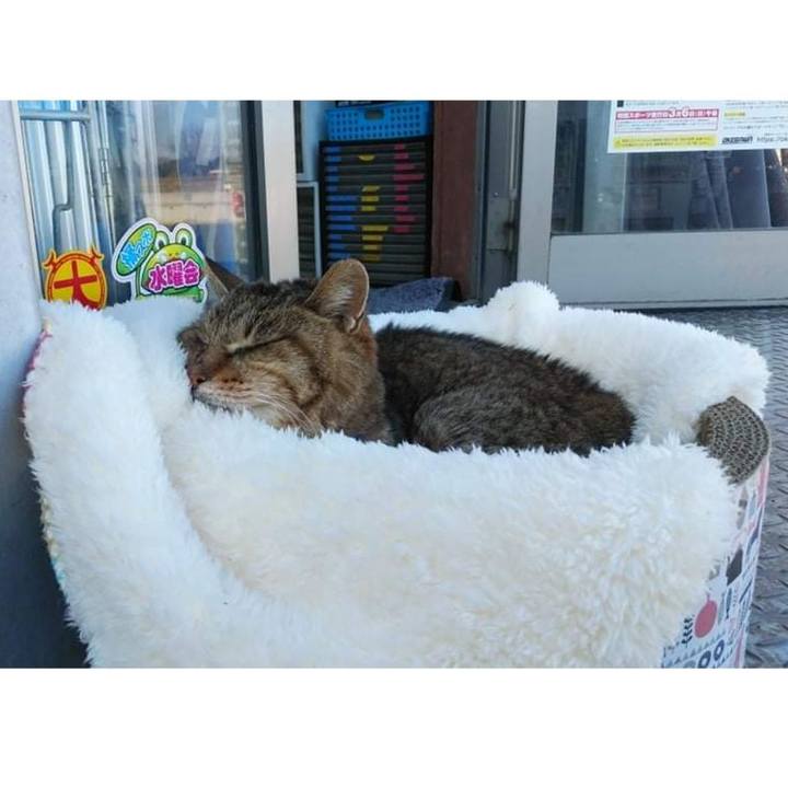 774287fe e515 4dee 9311 7ad9f40b2d15 1645096991147