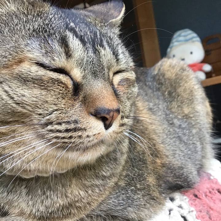 7742880b 9549 4b84 afbf a5f1fe2403c4 1715489373335