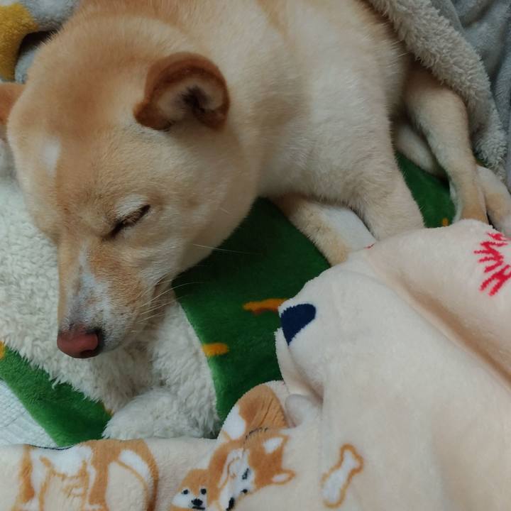 7742a1db 6414 454f b73b d8121647ed97 1524833813934